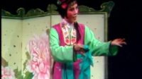 越剧《花为媒》主演 周雅琴 杨文蔚 朱祝芬 傅颂英 宇红下载