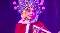 淮剧折子戏专场《樊梨花二休》演员 陈丽娜下载