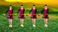 广场舞《中国歌最美》》轻盈优美好听好看