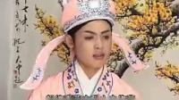 庐剧《疯妈妈》06集  主演 王小五下载