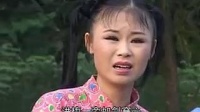 庐剧《疯妈妈》03集 主演 王小五下载