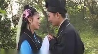 庐剧《疯妈妈》02集  主演 王小五下载