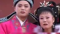 庐剧《二度梅》05集 主演  昂小红 李小平 王小五 昂朝霞下载