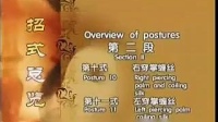 陈氏太极拳缠丝功<中>陈小旺下载