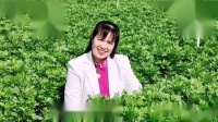 广场舞《有缘人》抒情风格附正背面教学