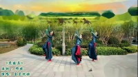 广场舞《黑骏马》三人版 一遍就能学会没基