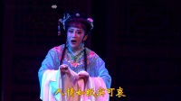 锡剧《哑女告状纵 火》字幕版 主演 沈惠兰 薛平鸽 任亚 胡子寅下载