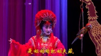 锡剧《哑女告状洞 房》字幕版 主演 沈惠兰 薛平鸽 任亚 胡子寅下载