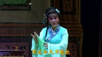 锡剧《哑女告状鸩 兄》字幕版 主演 沈惠兰 薛平鸽 任亚 胡子寅下载