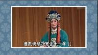 评剧《狸猫换太子》