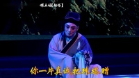 锡剧《三惠版珍珠塔》第五场劫塔 字幕版 主演 徐惠 黄静慧 沈惠兰下载