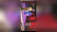 莆仙戏 《神虎救主》枫亭妹饰演