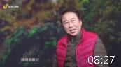 骑上我心爱的小摩托