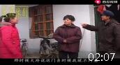 民间小调 《儿子的婚事》第3集 主演 荆现顺 孟献礼 荆河 刘美 曹侠 尹桂廷 秦霞下载