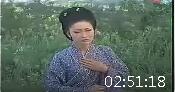 黄梅戏《寡妇门前是非多》全集