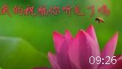 永康梦妃广场舞《我的祝福你听见了吗》简单