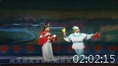 二人转正戏 《大西厢》全集 主演 韩子平 小豆豆下载