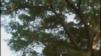 江西宁都采茶戏《秦香莲》第1集