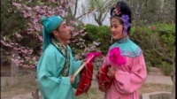 二人转《崔莺莺观花》王丽珠 陈小伍演唱下载