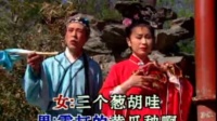 二人转《西厢写书》开药方