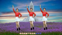 广场舞《幸福的爱你一辈子》舞步简单时尚附