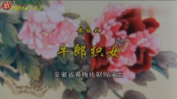 黄梅戏《牛郎织女》主演 魏瑜遥 周珊 吴亚玲下载