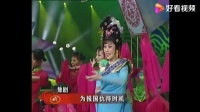 梨园春《戏曲联唱》李金枝 李红英演唱下载