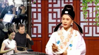 安徽庐剧《蜜蜂记》都怪为夫太任性 害娘子