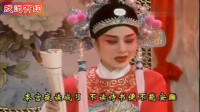 黄梅戏《女驸马》洞房花烛夜 马兰配像 严凤英演唱下载