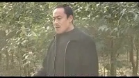 民间小调《光棍寡妇相亲》主演  荆现顺  李玉兰  韩三  尹桂廷 荆丽君下载