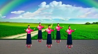富平百合广场舞《大地飞歌》舞步简单时尚附