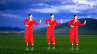 广场舞《梨山痴情花》简单的步子 谁跳谁上