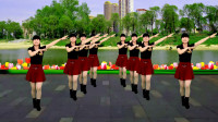 广场舞《鸟儿对花说》节奏欢快动感好听又好