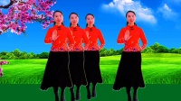 广场舞《爱不停息》好看又好学 附分解教学