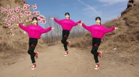 广场舞教学视频《你像桃花三月开》下载