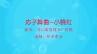 河北南宫月圆广场舞《小桃红》3分钟轻松学