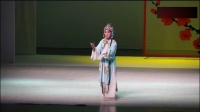 昆曲 音配像 《牡丹亭寻梦》忒忒令 张士文