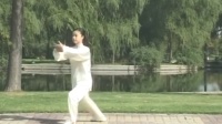 邱慧芳42式太极拳全套演练下载