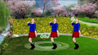广场舞《想你的夜晚》精彩时尚好看附教学下载