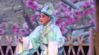 秦腔《人面桃花》唱得真好听