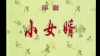 评剧《小女婿》