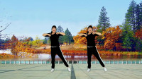 中老年健身操《错过缘分错过你dj》燃脂瘦身