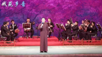 河北梆子《打金砖》姚皇兄选段 王硕 唱的太