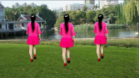 广场舞《爱过几回伤几回 》动作简单大方好