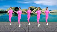 健康一生广场舞《你比春天还美丽》网红48步附教学下载