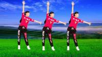 玫香广场舞《小花》简单韵律舞步轻松学会