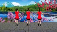 广场舞《妹妹三月桃花开》背面演示教学下载