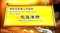 赵幼斌杨氏太极拳85式完整演示下载