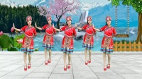 苗族风格广场舞《水月亮》舞步优美好看附教学下载