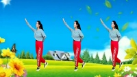 广场舞《美丽的遇见》简单易学附教学下载